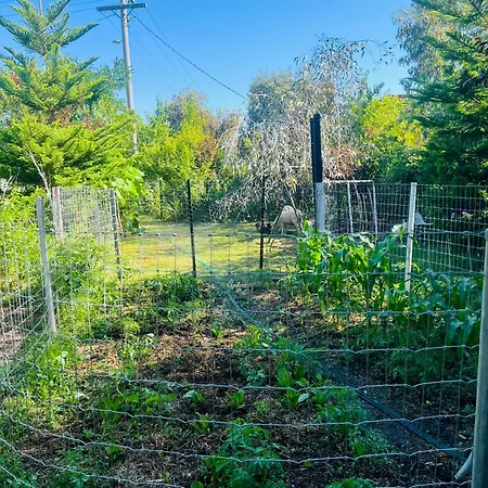 Bird Paradise & Mini Farm Bendigo Exterior photo