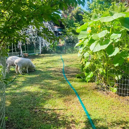 Bird Paradise & Mini Farm Bendigo Exterior photo