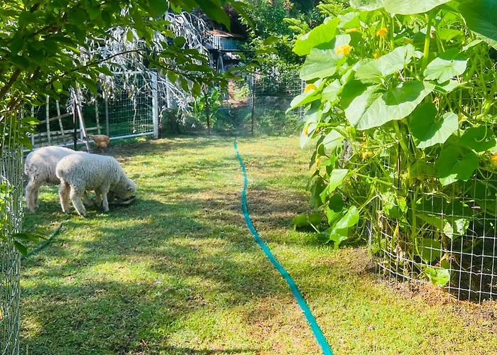 Bird Paradise & Mini Farm