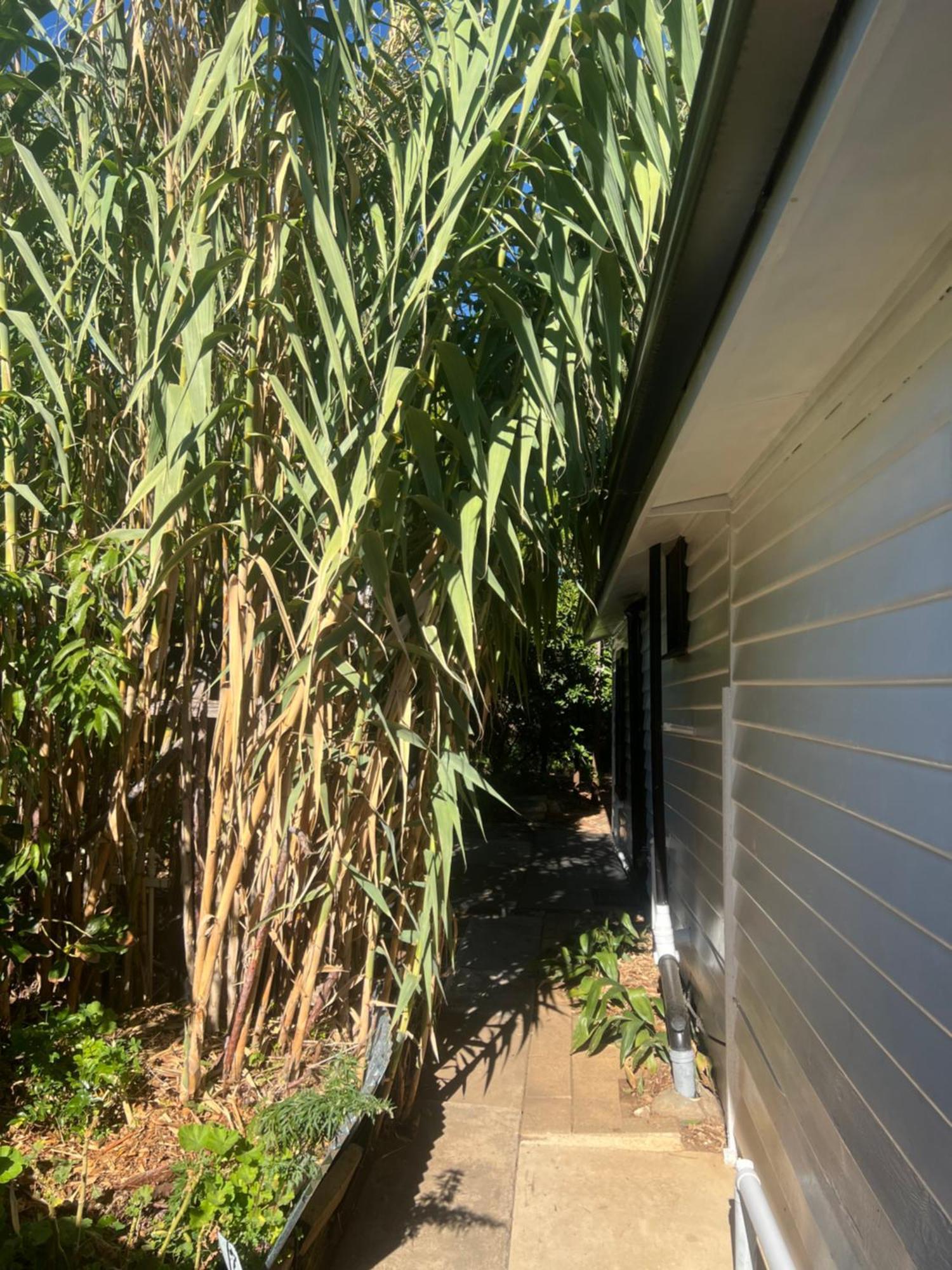 Bird Paradise & Mini Farm Apartment